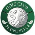 Logo prunevelle 1